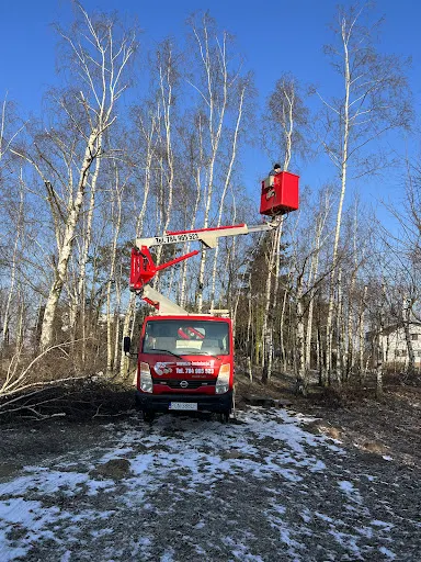 Podnośnik koszowy Gniezno / wycinka drzew